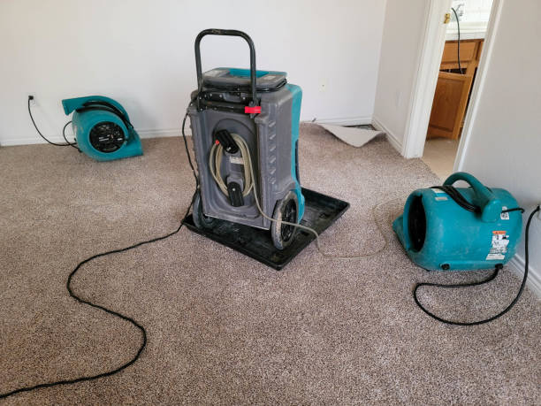 Best Water damage restoration process  in Kamiah, ID