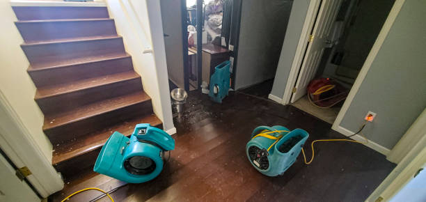 Best Emergency water damage restoration  in Kamiah, ID