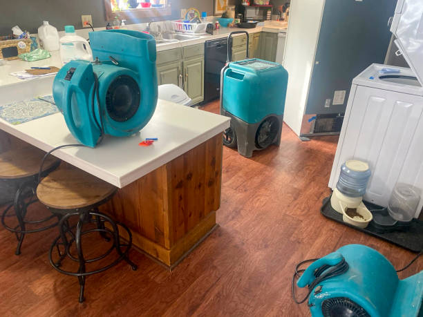  Kamiah, ID Water damage restoration Pros