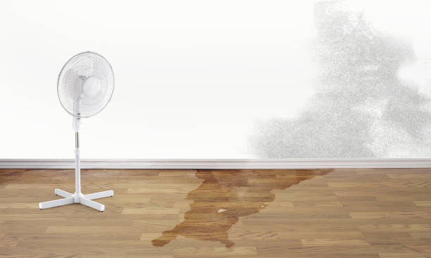 Best Local water damage restoration  in Kamiah, ID