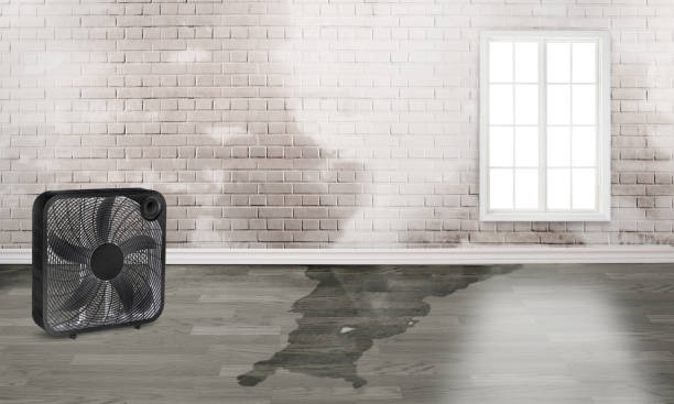 Best 24/7 water damage repair  in Kamiah, ID